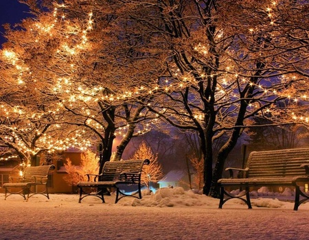 Gastronomie locale et détente pour profiter de la saison de noël à Mulhouse - 4* - 1