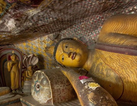 Circuit Ceylan Bonheur et extension Sri Lanka - 5