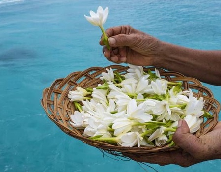 Circuit IA ORA NA POLYNESIE - 5