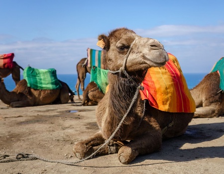 Circuit Villes Impériales 4* au départ de Tanger - 2