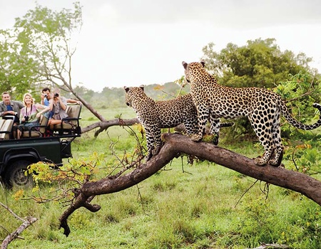 La grande traversée de l'Afrique australe et le delta de l'Okavango