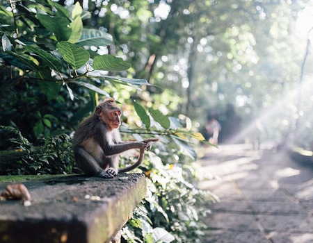 Ubud et Sanur en hôtels 3* - 3