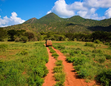 Combiné circuit et hôtel Pinewood Beach Resort & Spa 4*sup avec 3 nuits safari Tsavo et Amboseli - 5