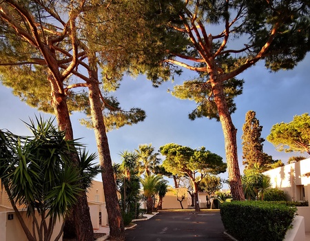 Hôtel San Pellegrino 3* (sans transport) - 3