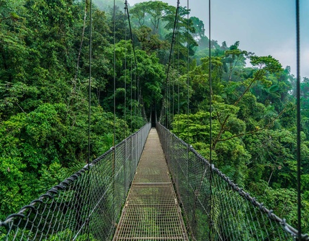 Cap sur le Costa Rica - 10J/8N - 2026 - Limité à 20 pers. - 3