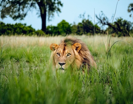 Circuit Découvertes Kenyanes et séjour hôtel Leopard Beach Resort 4*