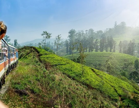 Aventure au Sri Lanka - 1
