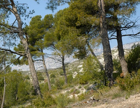 Camping Le Cézanne, 2* - 4