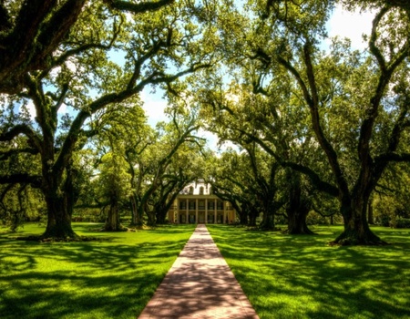 Sensations Du Sud - Atlanta, Etats-Unis - Image 5