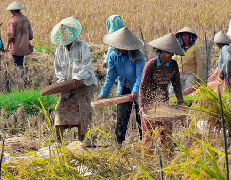 Circuit Joyaux de Bali et Sidemen - 4