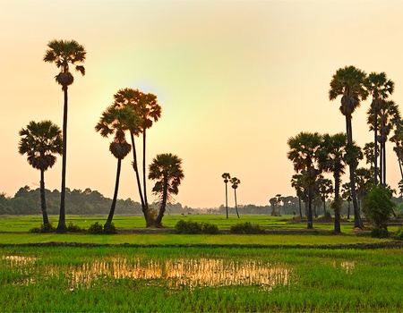 Circuit Les Essentiels du Cambodge 7 nuits 4/5 - petit groupe - 5