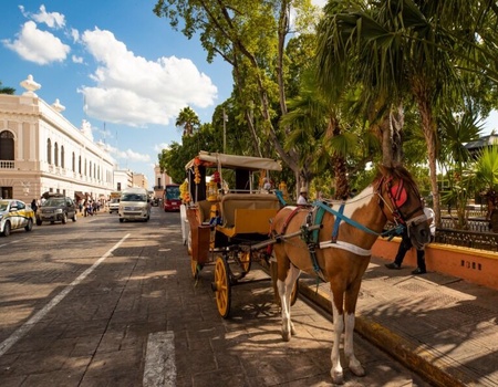 Circuit Yucatan en train - 5