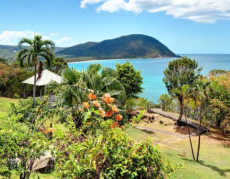 Les Antilles, la Caraïbe Française & extension les Saintes - 2