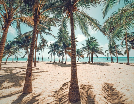 Autotour Butinez Sur l'Île Papillon - 10J/8N - 1