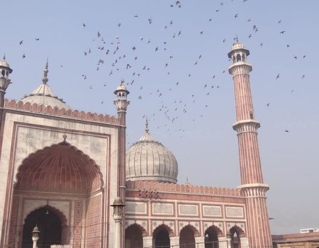 Circuit Privé Rajasthan en liberté (cat. sup.) - Inde - 3