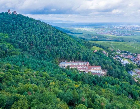 Excursion près de Colmar comprenant 2 jours d'accès à Europa Park - 4* - 5