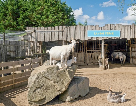 Camping La Grand Métairie - Camping Paradis, 4* - 4