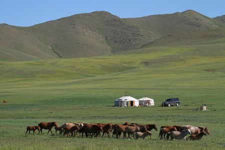 Immersion en Mongolie 10J/7N