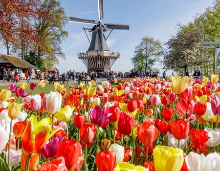 La Hollande, pays des tulipes (formule port/port) - Amsterdam, Pays Bas - Image 3