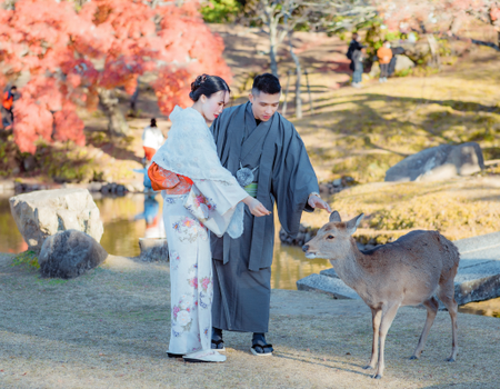 Circuit Sur les pas des Samouraïs et extension Kamakura - 1