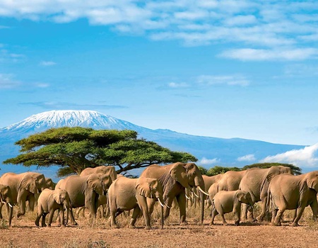 Circuit Safari Kilimandjaro 4*