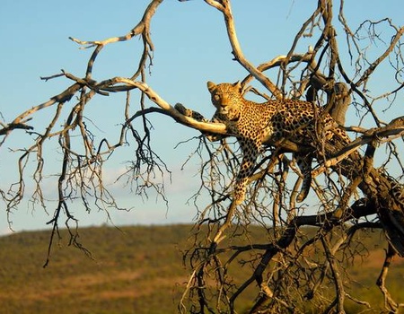 Aventure en Namibie + extension Fish River Canyon - 5