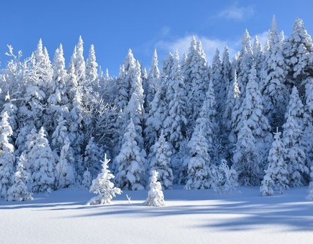 Splendeurs du Québec en hiver 8J/6N - 3