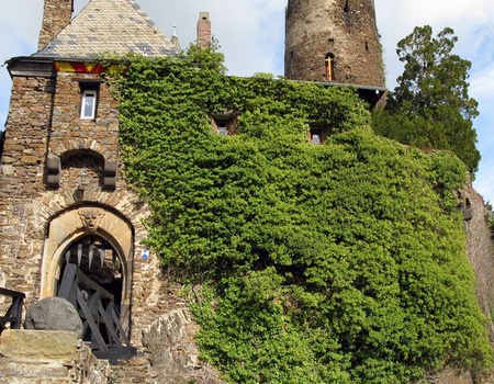 2 FLEUVES : la vallée du Rhin romantique et la magie de la Moselle - Strasbourg, Nord & Est - Image 2