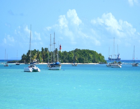 Combiné "Nature Islands" - Guadeloupe / La Dominique - Pointe à Pitre, Guadeloupe, Antilles - Image 2