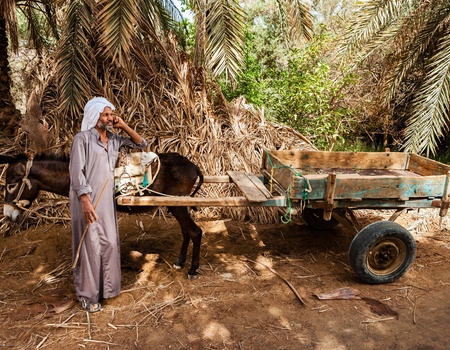 Circuit Egypte secrète : Alexandrie et les sables de Siwa 4* - 5