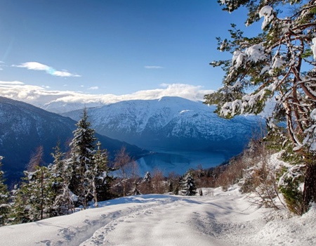Circuit Féérie hivernale au coeur des fjords norvégiens - 2