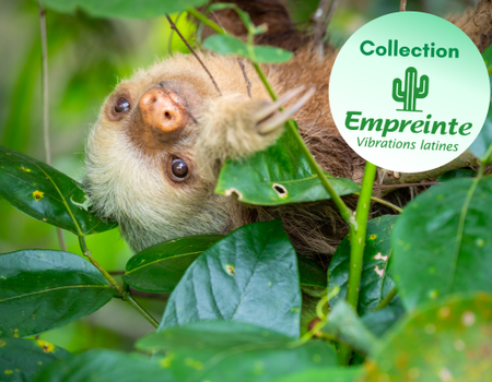 Circuit Viva La Vida et Jungle de Tortuguero - 1