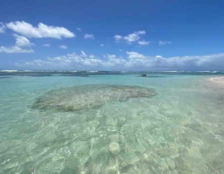 Karucoco Lodge - Deshaies - 5