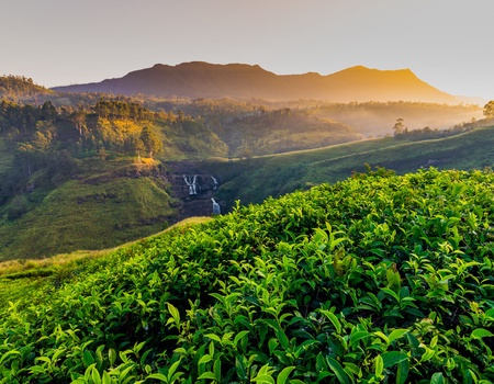 Circuit Reflets de Ceylan - 1