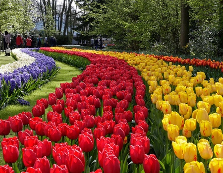 Week-end à Amsterdam avec Billets pour Keukenhof et Accès au Sauna - 4* - 1