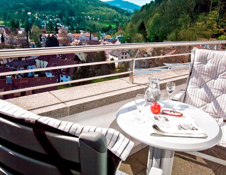 Plaisir pur dans la Forêt-Noire avec dîner et spa - 4*