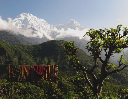 Circuit Trek dans l'Himalaya et réserve de Bardia - 4