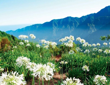 Autotour La route des Fleurs - 1