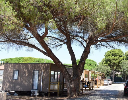 Camping Tikayan le Méditerranée, 3* - 4