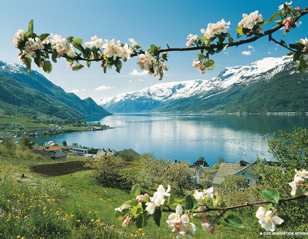 Circuit Norvège des Fjords