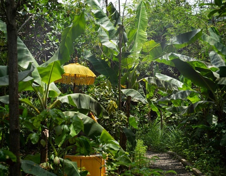 Circuit Sur la route des îles : Ubud, Candidasa et Lombok - 4