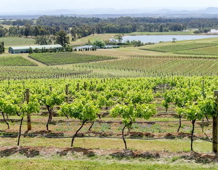 Road Trip Aventure sur la côte Est, de Sydney à Cairns - 5