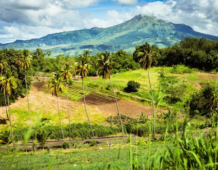 Circuit Évasion Caribéenne : Martinique et Sainte-Lucie - 3