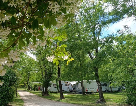 Camping La Digue, 4* - Ardèche - Chauzon, Auvergne - Image 4