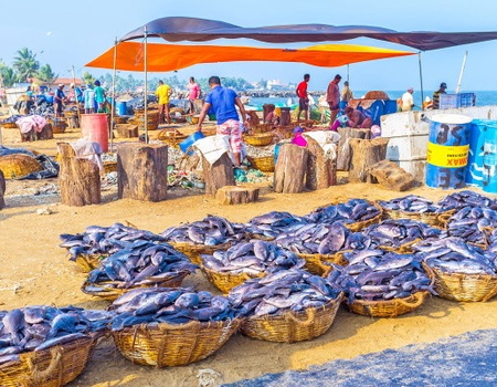 Combiné circuit et hôtel Authentique Sri Lanka 3* & extension au Framissima Evasion Heritance Ahungalla - 2