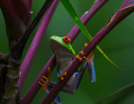 Circuit Autotour : Balade entre 2 Océans - 3