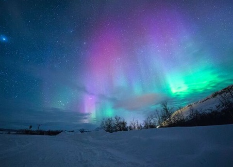 La Magie de Noël au Coeur de la Laponie Suédoise - 2