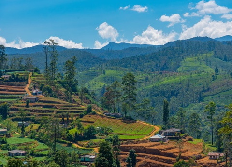 Circuit Splendeurs Insolites de Ceylan - 28