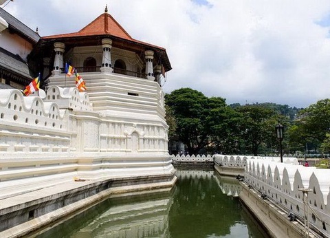 Circuit privé Ceylan buissonnier - 9