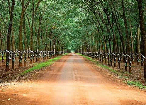 Circuit La Transvietnamienne - 19